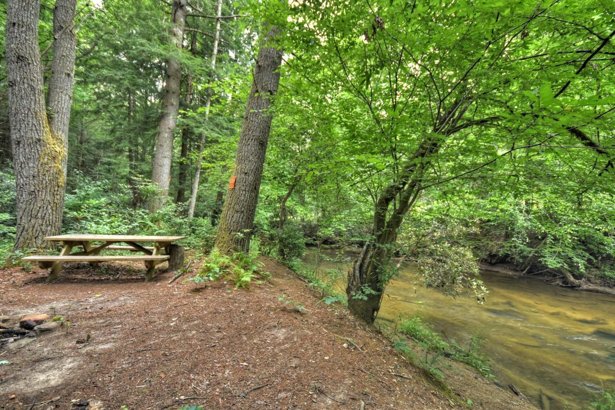 K6 Lodge Gather Around The Firepit Soak In The Hot Tub And Splash In The Creek Blue Ridge Eksteriør bilde
